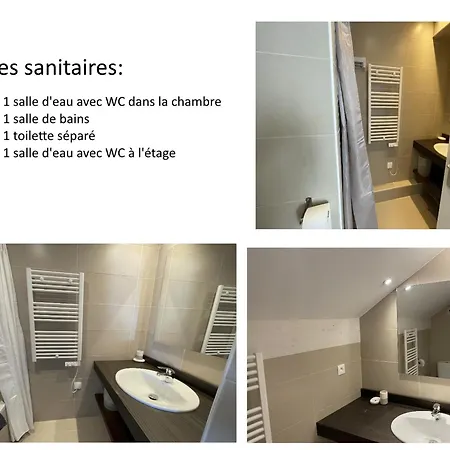 Gourette: Duplex 10 Pers, Piscine, Animaux Admis - Fr-1-860-1